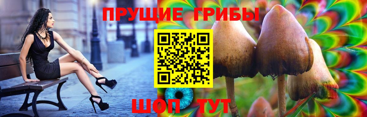 Галлюциногенные грибы мухоморы  Вход с VPN  Красноармейск  где найти наркотики  Галлюциногенные грибы прущие грибы 